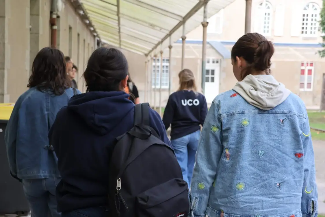 Alternant Chargé de Com / Web